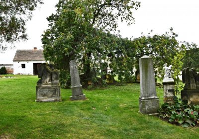 Široké Třebčice, Omnium, 2020