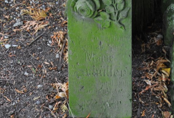 Vilémov obecní, Omnium, 2020