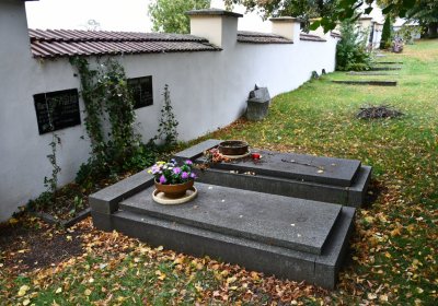 Vilémov obecní, Omnium, 2020