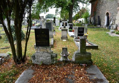 Vilémov obecní, Omnium, 2020