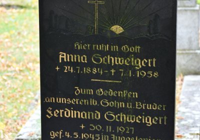 Vilémov obecní, Omnium, 2020