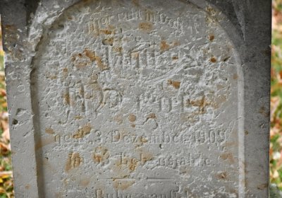 Vilémov obecní, Omnium, 2020