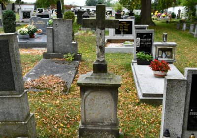 Vilémov obecní, Omnium, 2020