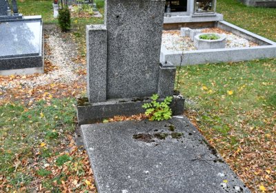 Vilémov obecní, Omnium, 2020