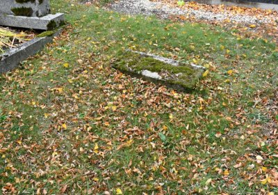 Vilémov obecní, Omnium, 2020