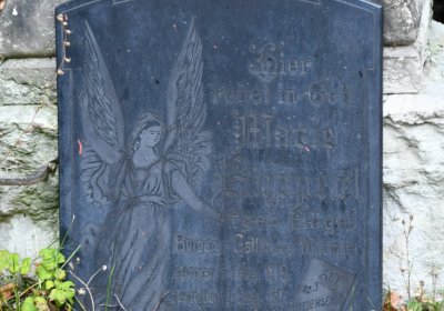 Vilémov obecní, Omnium, 2020