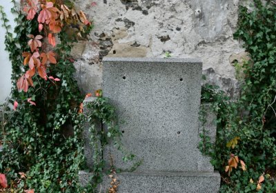 Vilémov obecní, Omnium, 2020