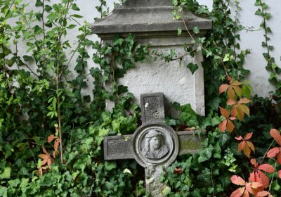 Vilémov obecní, Omnium, 2020