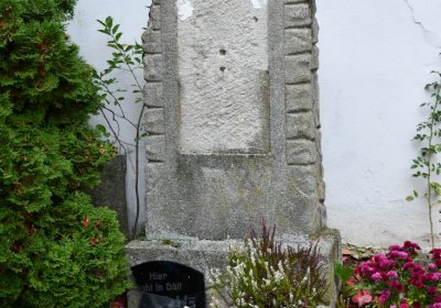 Vilémov obecní, Omnium, 2020