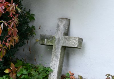 Vilémov obecní, Omnium, 2020