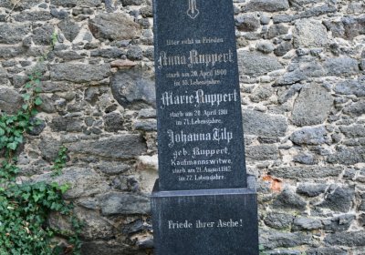 Vilémov obecní, Omnium, 2020