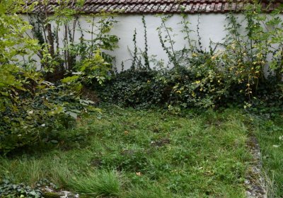 Vilémov obecní, Omnium, 2020