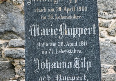 Vilémov obecní, Omnium, 2020