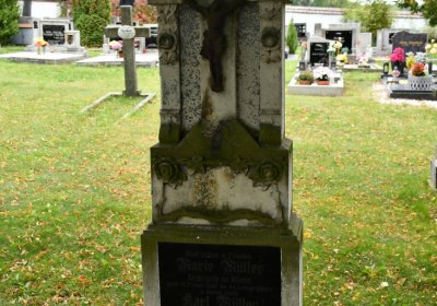 Vilémov obecní, Omnium, 2020