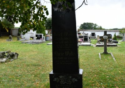 Vilémov obecní, Omnium, 2020