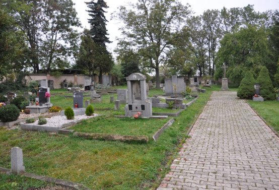 Všestudy, Omnium, 2020