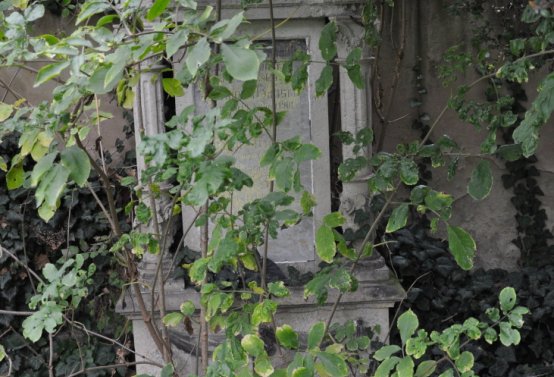 Všestudy, Omnium, 2020