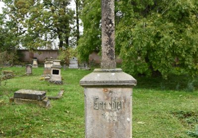 Všestudy, Omnium, 2020