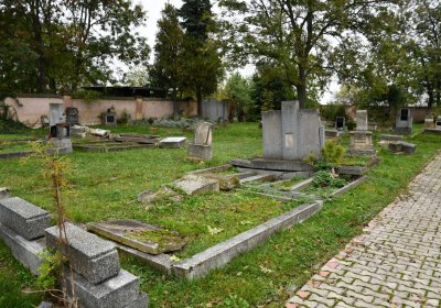 Všestudy, Omnium, 2020