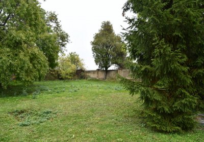 Všestudy, Omnium, 2020