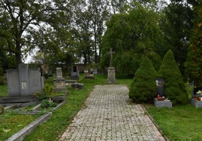 Všestudy, Omnium, 2020