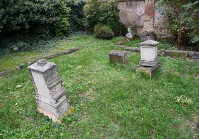 Všestudy, Omnium, 2020