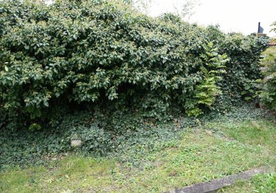 Všestudy, Omnium, 2020