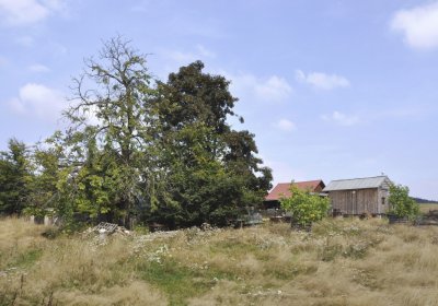 Sedláček Hugo, 2016