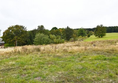 Volyně, Omnium, 2020