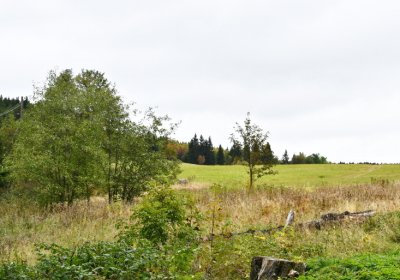 Volyně, Omnium, 2020