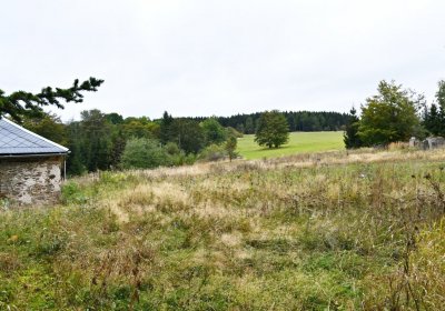 Volyně, Omnium, 2020