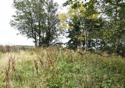 Volyně, Omnium, 2020