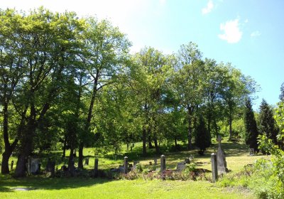 Kmínek Michal, 2019