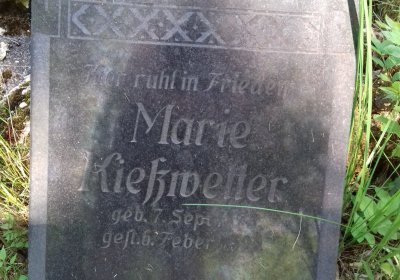 Kmínek Michal, 2019