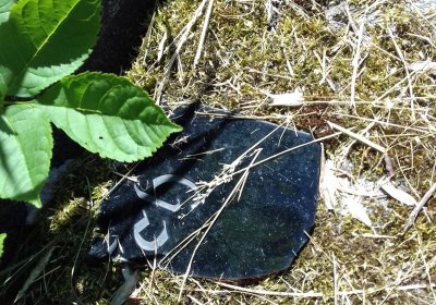 Kmínek Michal, 2019