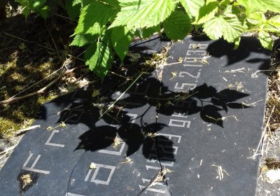 Kmínek Michal, 2019