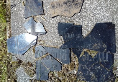 Kmínek Michal, 2019