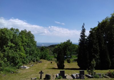 Kmínek Michal, 2019