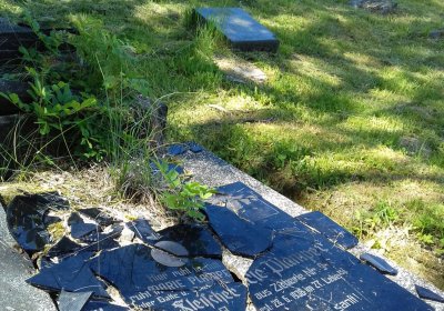 Kmínek Michal, 2019