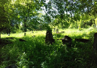 Kmínek Michal, 2019