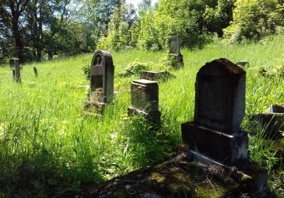 Kmínek Michal, 2019