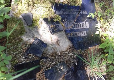 Kmínek Michal, 2019