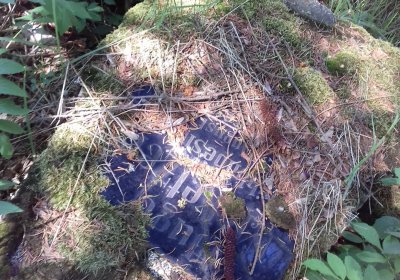 Kmínek Michal, 2019