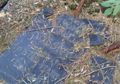 Kmínek Michal, 2019