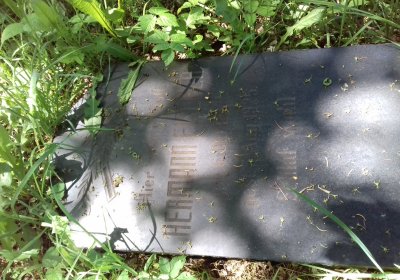 Kmínek Michal, 2019