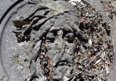 Kmínek Michal, 2019