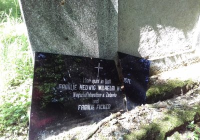 Kmínek Michal, 2019