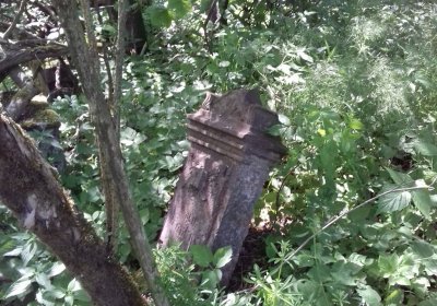 Kmínek Michal, 2019