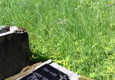 Kmínek Michal, 2019