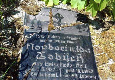 Kmínek Michal, 2019